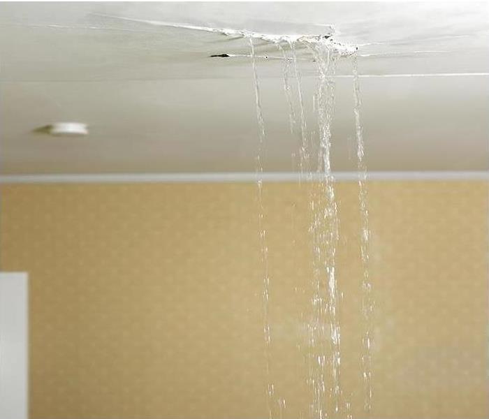 Ceiling Leak