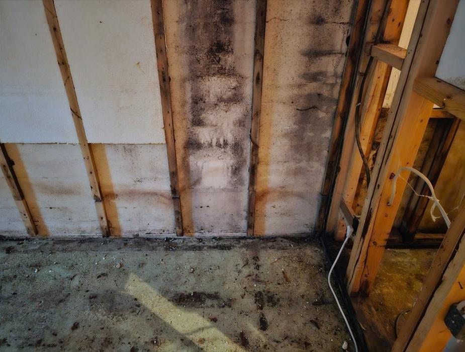 A view of a room that has had the flooring ripped up and the bottom few feet of a wall removed after a flood revealing mold.
